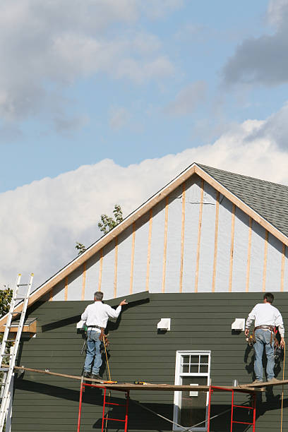 Best Vinyl Siding Installation  in Eunice, NM